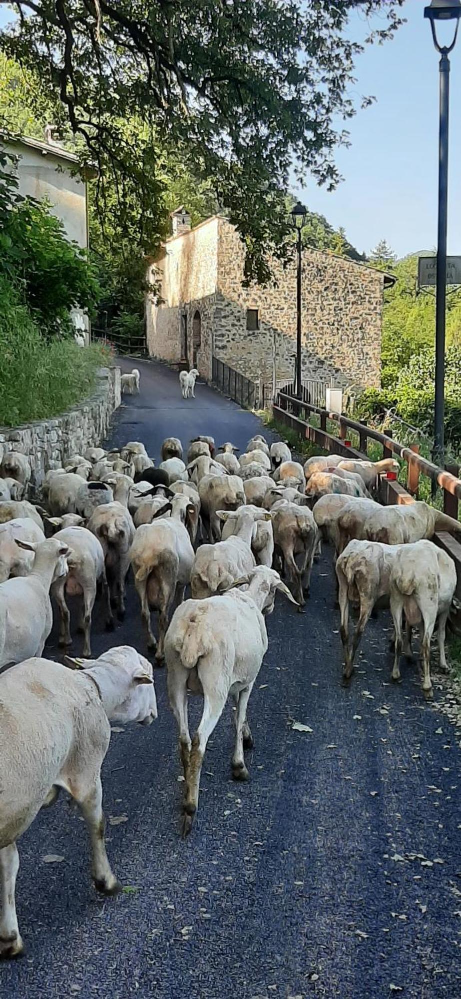 B&B dell'Osteria SantʼAnatolia di Narco Esterno foto