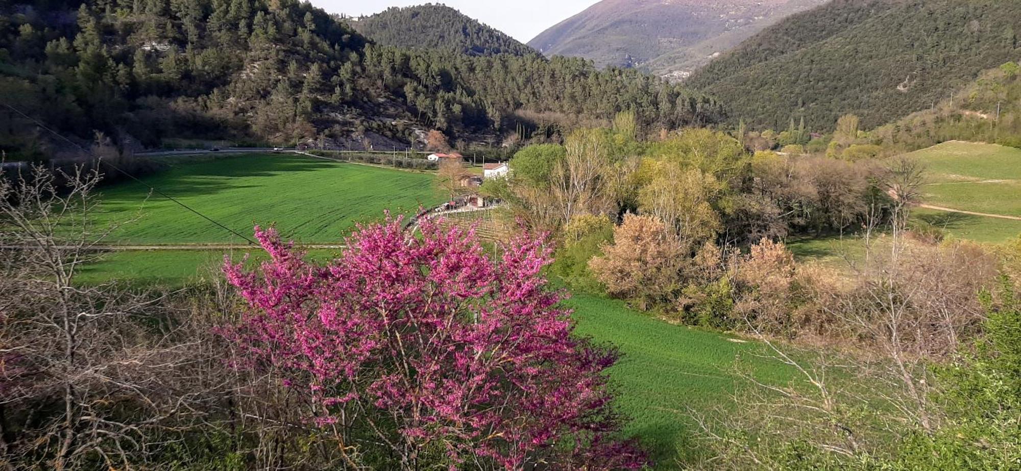 B&B dell'Osteria SantʼAnatolia di Narco Esterno foto