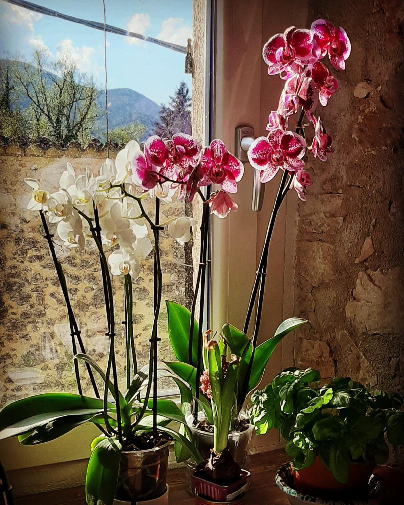 B&B dell'Osteria SantʼAnatolia di Narco Esterno foto